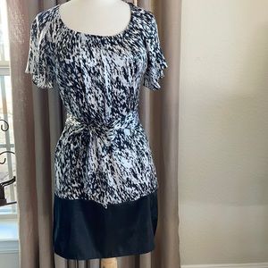 Express Silk Dress